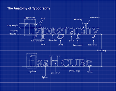 The Anatomy of Typography