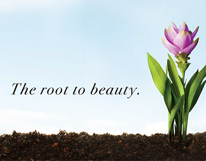 The root to beauty