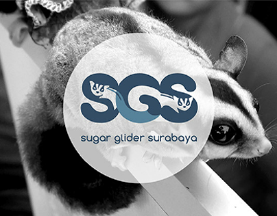 Sugar Glider Surabaya (Rebranding)