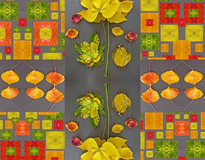 OCD Autumn Leaves Patterns