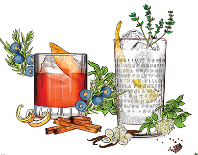 Cocktails illustration THE BOTANIST