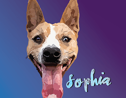 Sophia Pet Portrait