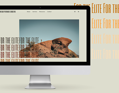 Camelback Performance & Consulting Website Design