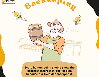 How to start a beekeeping
