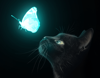 Gato | Efeito de Luz | Glow Effect