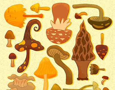 Fall Objects - Illustration