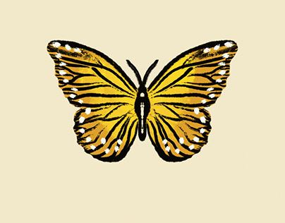 Gif butterfly
