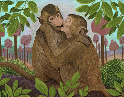 Rhesus Macaques playfully kissing on a banyan tree
