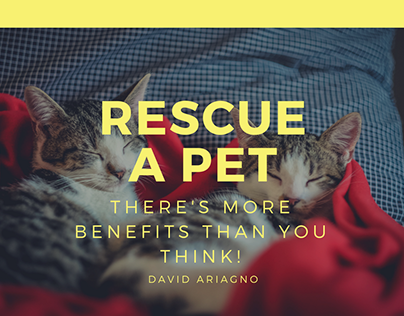 Rescue a Pet