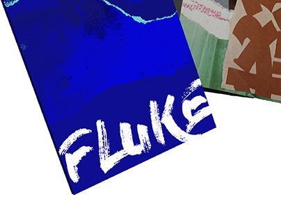 Fluke— New Ways of Seeing