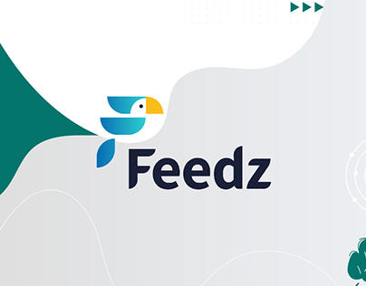 Comunicado de processos internos - FEEDZ