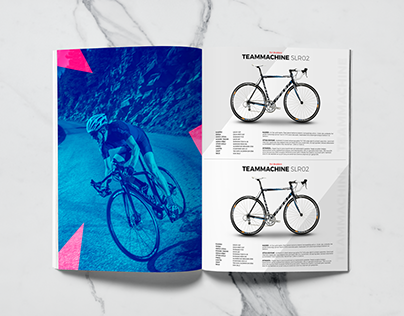 Bicycle Catalog Design