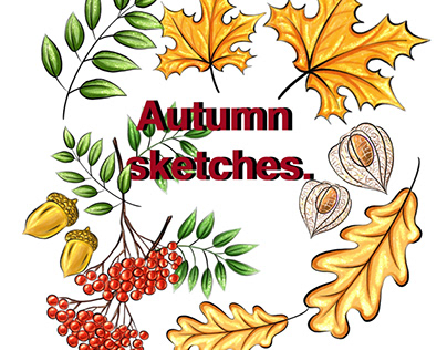 Autumn sketches.