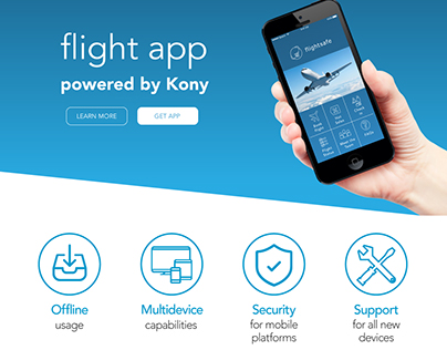 Infography to showcase a flight app