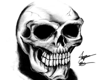 Skulls, bones & co
