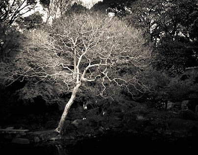 Shosei-en Gardens, Kyoto