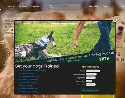 Pop-Up Dog Training Ad UI