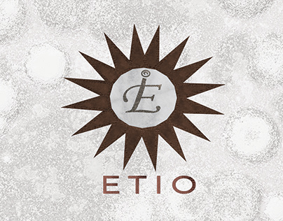 Brand book Etio