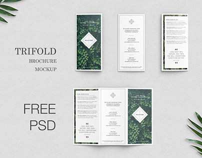 Free Trifold Brochure Mockup