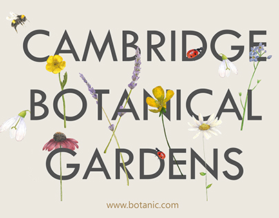 Cambridge Botanical Garden (poster)