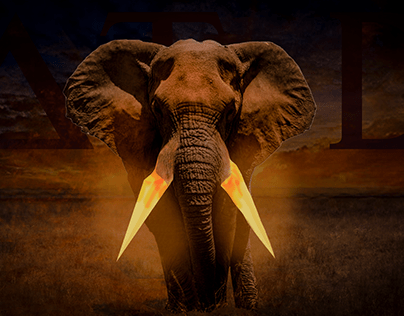 Elefante Brilhante