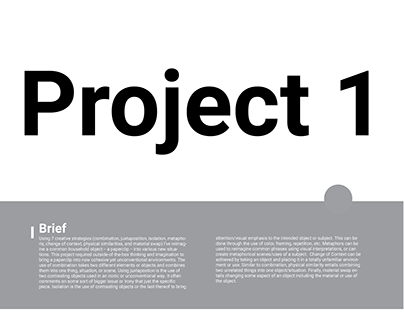 Project 1: Seven Creative Strategies