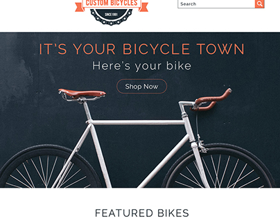 Custom Bicycle Website