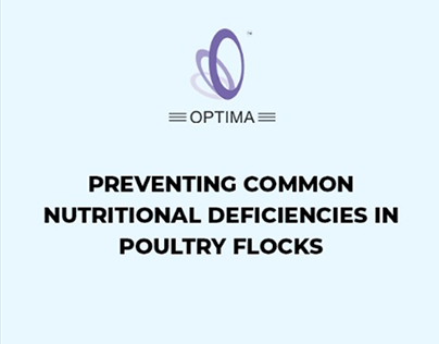 Preventing Common Nutritional Deficiency In Poultry