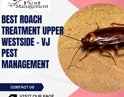 Best Roach Treatment Upper westside