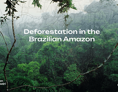 Deforestation in the Brazilian Amazon