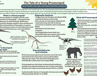The Tale of a Young Prosauropod
