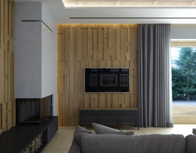hause with wood panels