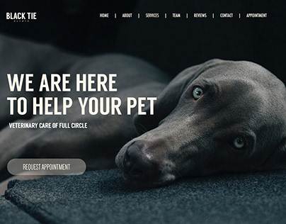 Veterinary Premium Web-Site Design