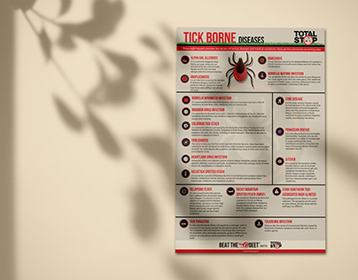 Tick Borne Diseases Infographics Design