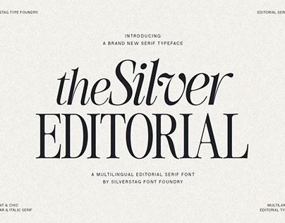 Project thumbnail - The Silver Editorial - Modern & Chic Serif Font