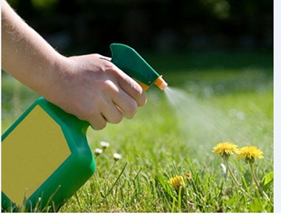 Best Ideas & Tips To Keep Your Lawn And Garden Free