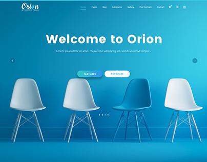 Orion One-Page Theme