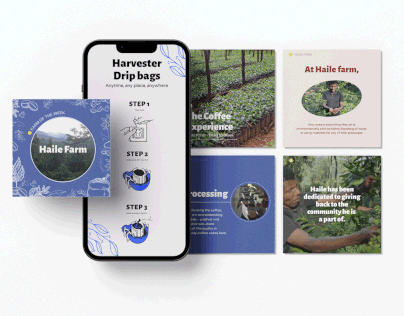 Harvester – SM Management and Content Creation