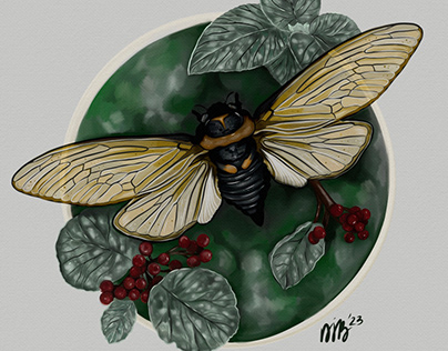 Illustration,digital art, bugs, botanical art