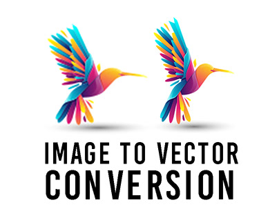Image To Vector Conversion