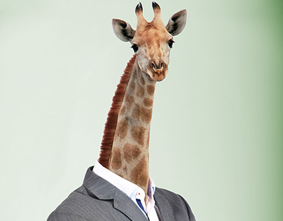 Giraffe Businessman Manipulation