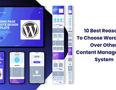 10 Best Reasons To Choose WordPress Over Other CMS