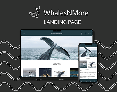 Whale watching WhalesNMore | Landing Pade