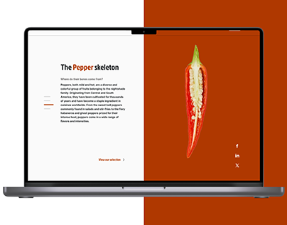 Pepper | Webdesign