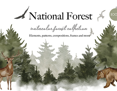 National Forest Collection