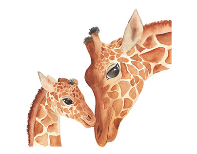 Safari Animals Illustration