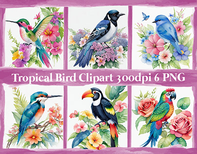 Tropical Bird Clipart Sumlimitin 6 PNG