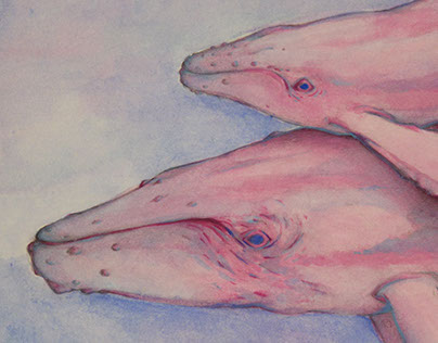 Bubblegum Whales - 2014