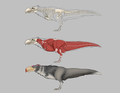 Argentosaurus