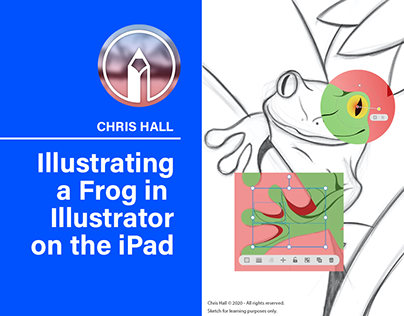 Illustrating a Frog in Illustrator on the iPad